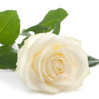 Marit Johanne Stødle